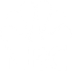 NBC News logo