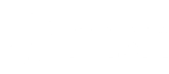 MSN News logo